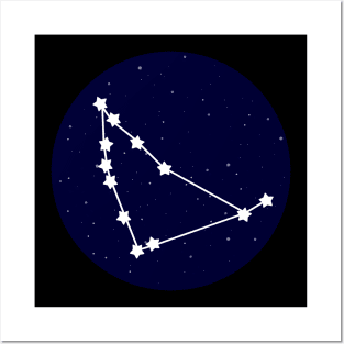 Capricorn Zodiac Constellation Posters and Art